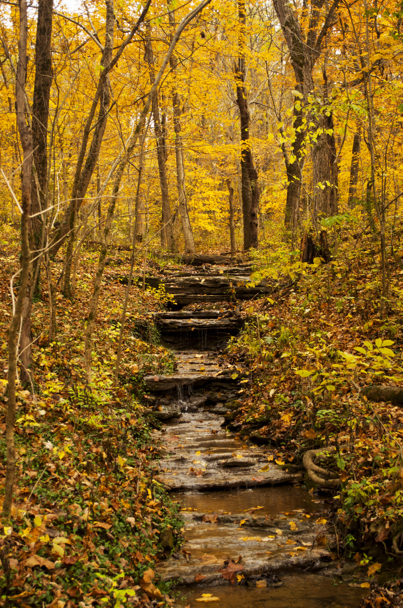 Branchville 1 Branchville