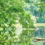 bergen county inpatient treatment