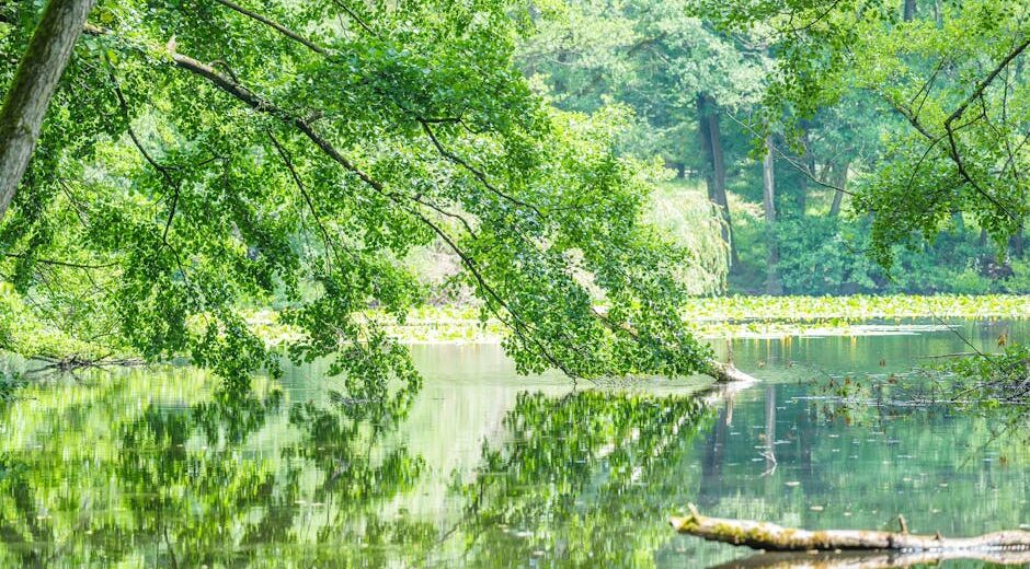 bergen county inpatient treatment