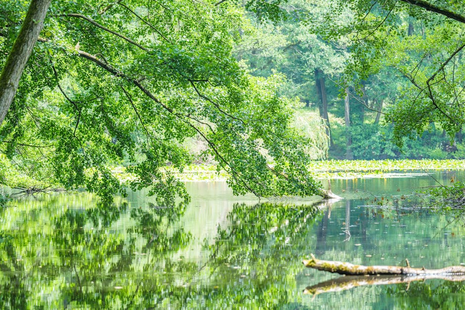 bergen county inpatient treatment